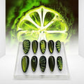 AESPA Lemonade Splash Press-On Nails