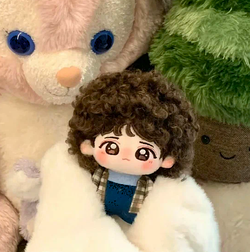 Curly-Haired Han Inspired Plushie